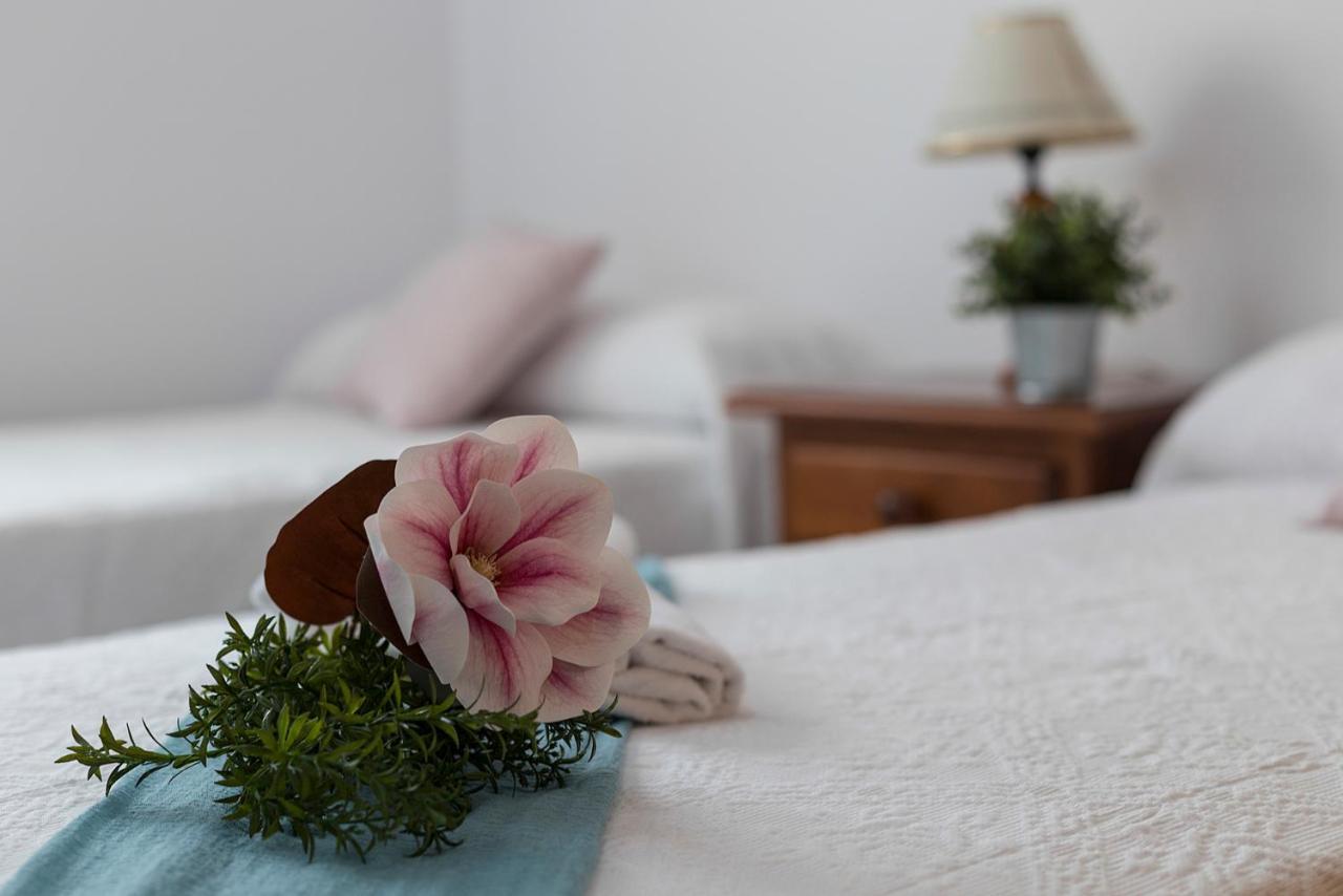 Avenida Playa 3 Rooms 2 Banos Cádiz Eksteriør bilde